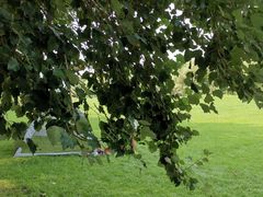 -长白岛森林公园