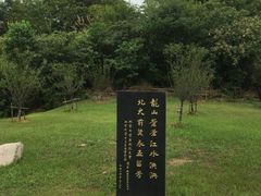 -独秀园
