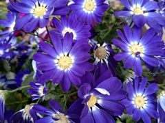 -重庆动物园·东二门售票处