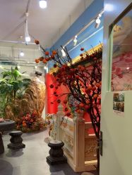 -星豆豆儿童摄影(南郊太白南路店)