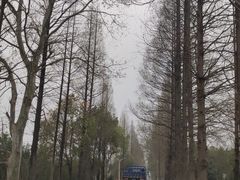 -石塘人家