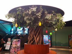 -杭州开元森泊度假乐园