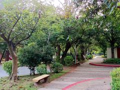 -滴水岩森林公园