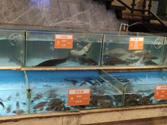 水产区-饭怕鱼(阳光100店)