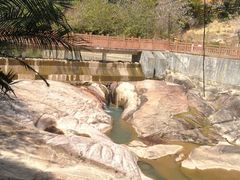 -广州白江湖森林公园