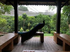 -吉隆坡雀鸟公园