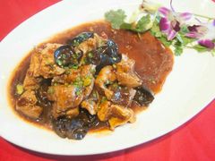 -明珠湖天鹅苑·农家菜馆