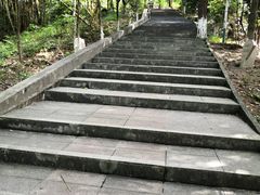 -分塔山省级森林公园