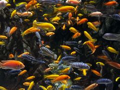 -太平洋海底世界