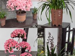 -喜士多(杭州黄龙世纪广场店)