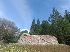 -东平国家森林公园