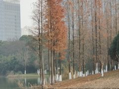 -艾溪湖湿地公园