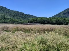 -八卦田遗址公园