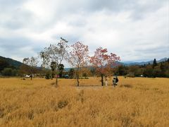 -塔川景区