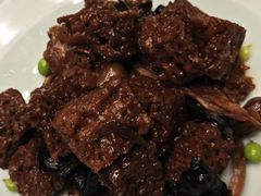 -新吉士·上海菜(浦东LCM置汇旭辉店)