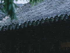 -何园