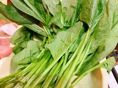 菠菜-蜀大侠火锅(森兰花园城店)