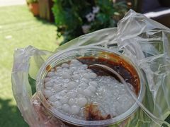 -潘玉麟糖粥
