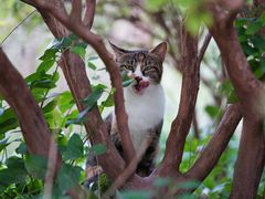 -苏州河梦清园环保主题公园