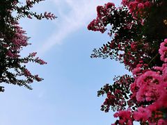 -武汉紫薇都市田园