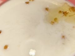 -龙师傅卤炒(天马店)