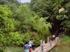 -广州白江湖森林公园