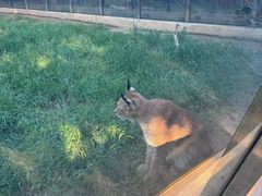 -石家庄市动物园