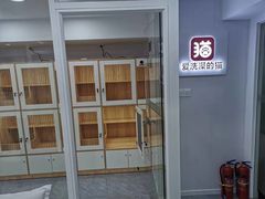 -爱洗澡的猫(天河路店)