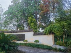 -大渡口区义渡公园