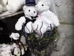 -济州岛泰迪熊博物馆