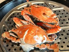 -巧克力渔家.小船海鲜胶东菜(万平口店)