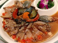 特色醉膏蟹-申宴酒楼(王子百货店)