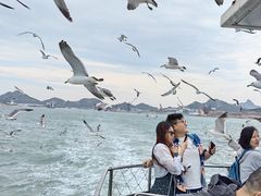 -海驴岛(荣成市)