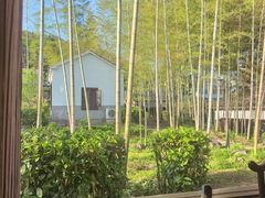 -木子山庄·安徽省老字号·中国炖锅宴