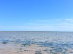 -刘家湾赶海园