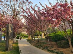 -远洋未来广场(育慧北路店)