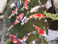 -贵阳高新惠诚食品有限公司