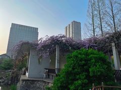 -郑和公园