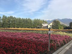 -富田农场