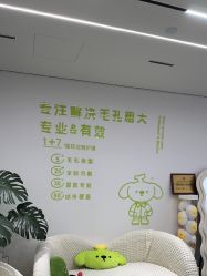 -凡碧诗毛孔清洁收细