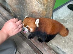 -北京野生动物园