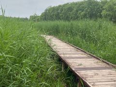 -西青郊野公园