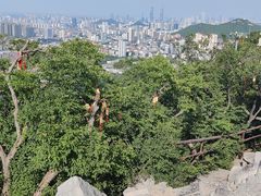 -千佛山风景名胜区