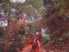 -火炉山森林公园