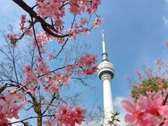 -东湖生态旅游风景区