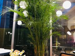 -Toris(LuOne凯德晶萃广场店)
