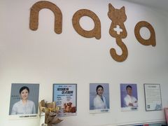 -纳吉亚猫专科动物医院·北北分院