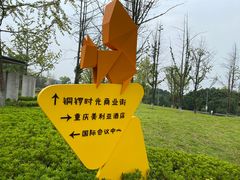 -铁山坪森林公园