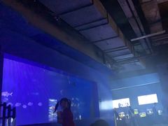 -重庆欢乐海底世界