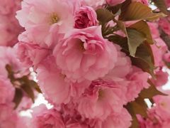 -古柏渡飞黄旅游区